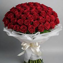 Букет 101 Красная роза Блэк Мэджик в Липовцах