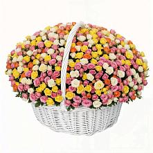 Премиум букет из: Розы в Липовцах