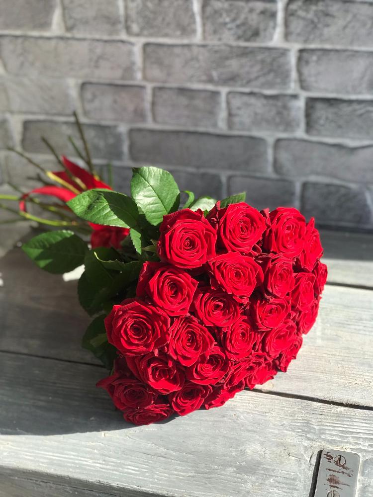 Букет Красные розы Фридом в Липовцах