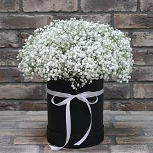 Цветочная композиция из Гипсофила в шляпной коробке в Липовцах
