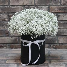 Цветочная композиция из Гипсофила в шляпной коробке в Липовцах